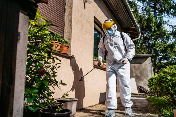 Best Best Pest Control Companies  in Gratton, VA